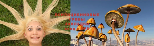 шишки Богданович
