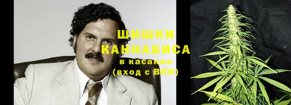 шишки Богданович