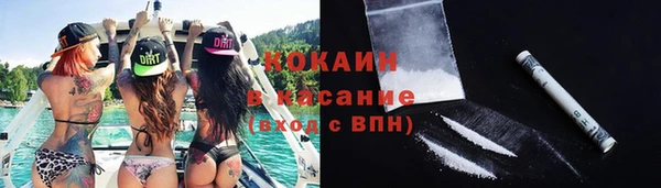 шишки Богданович