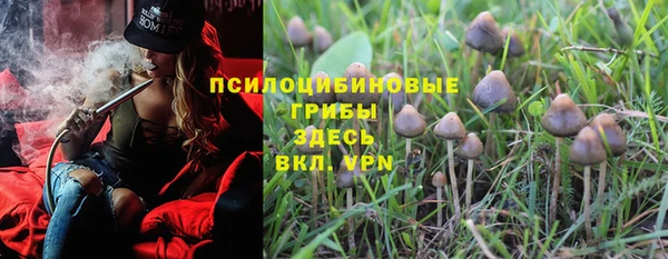 МДМА Белокуриха