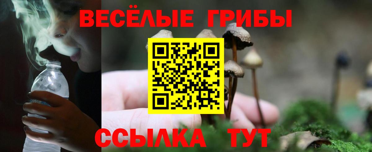 Псилоцибиновые грибы Cubensis Калуга